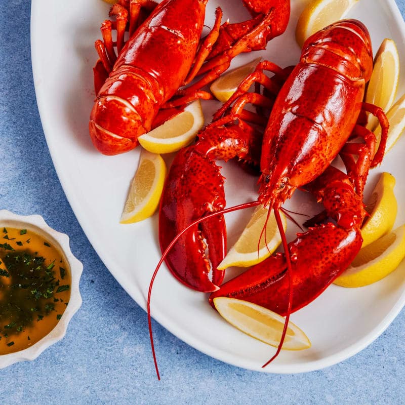Lobster